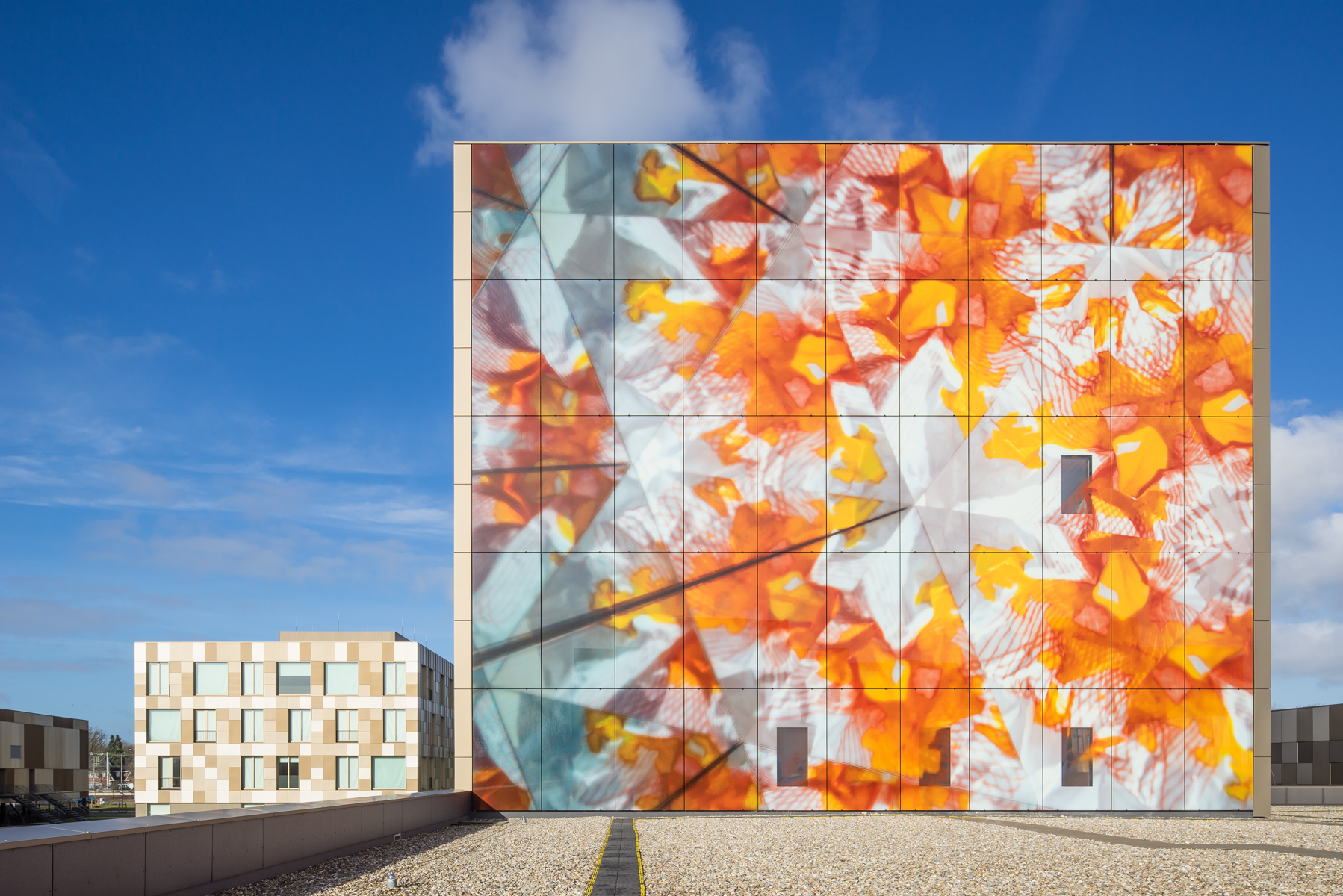 Artwork Onderwijspark Ezinge, Meppel